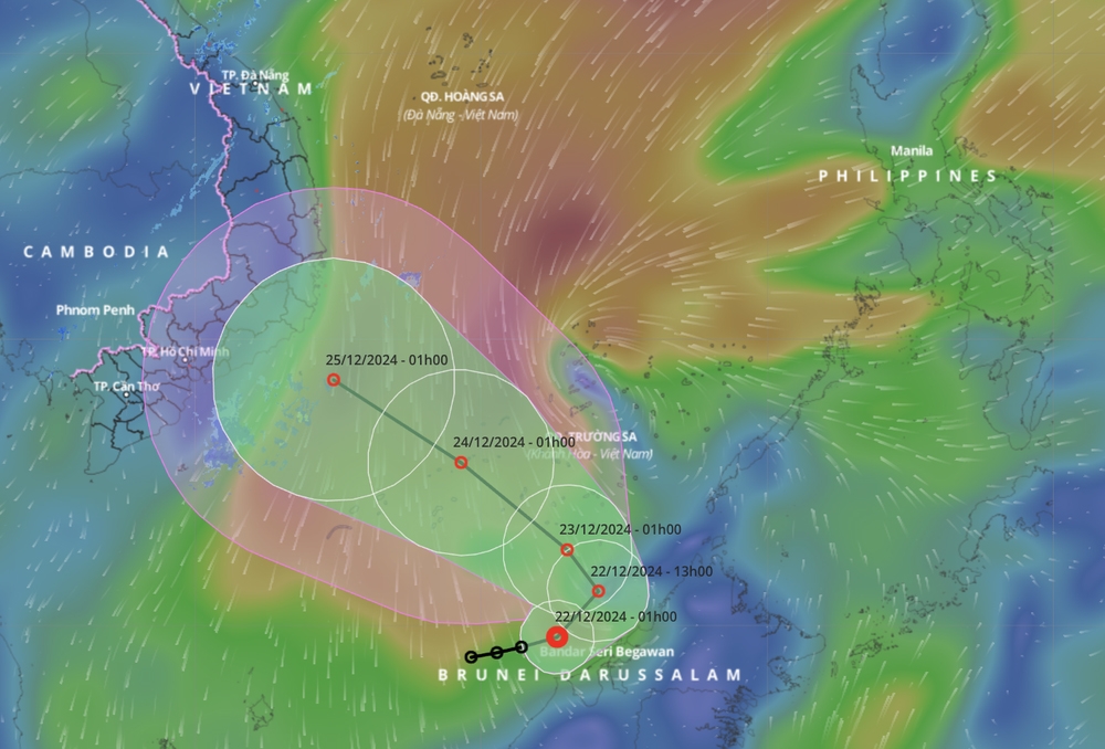 Tropical depression strengthens, moves towards South-central coast of Vietnam